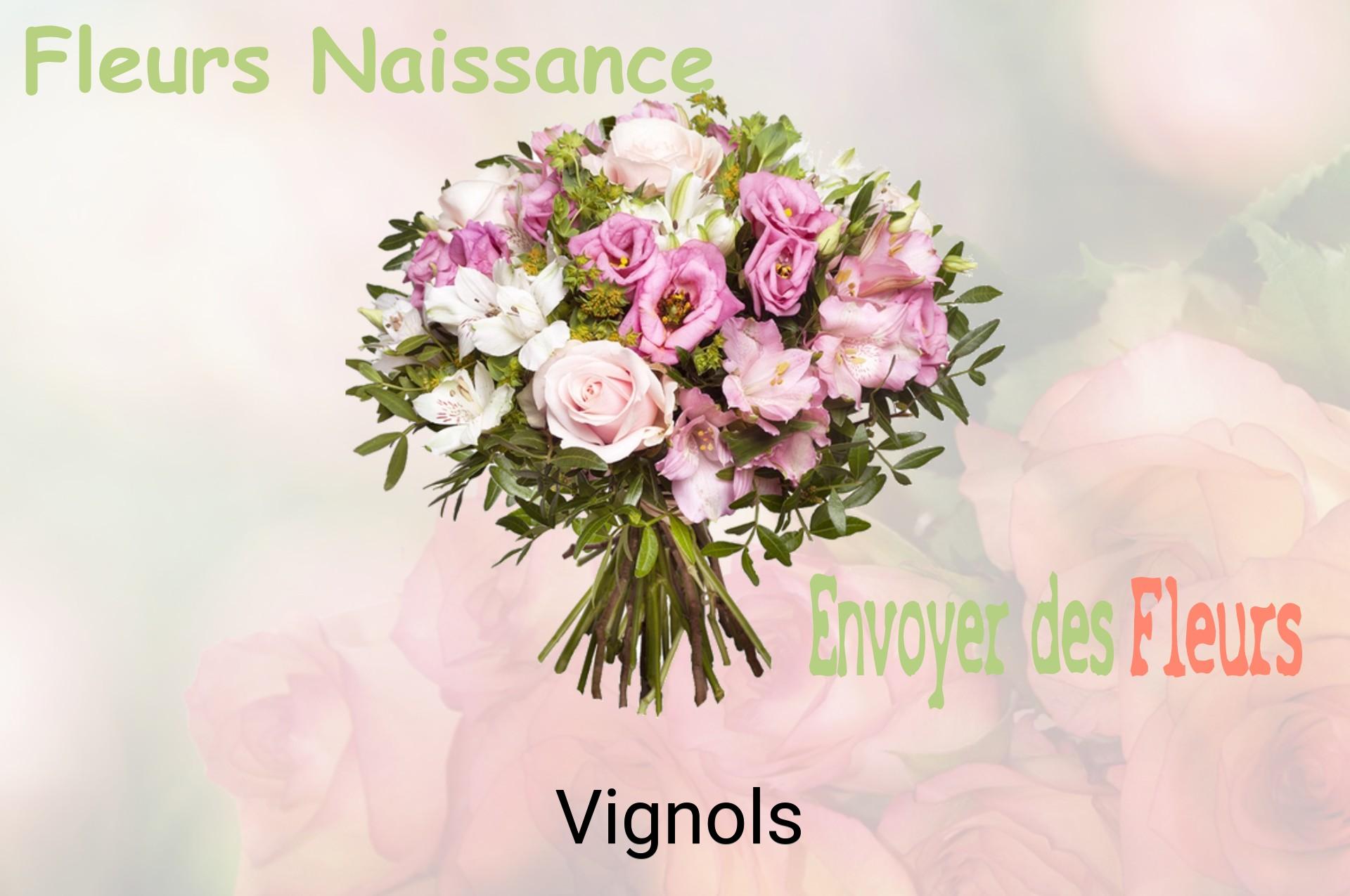 Bouquet de fleurs de naissance livré à Vignols